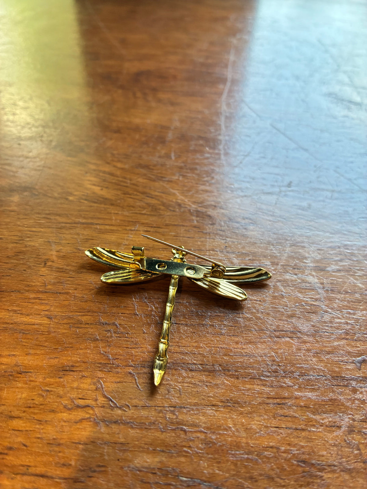 Dragonfly Brooch